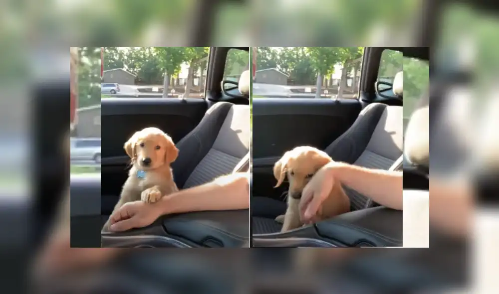 Desliza hacia la izquierda para ver más del video viral. Fotocaptura: YouTube Desliza hacia la izquierda para ver más del video viral. Fotocaptura: YouTube