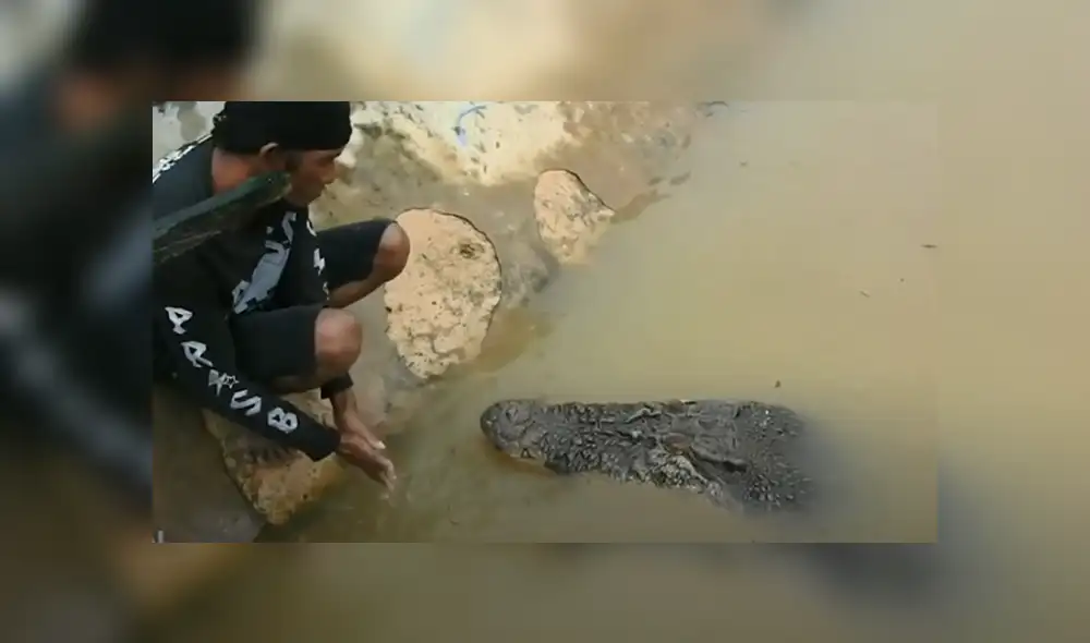 Desliza hacia la izquierda para ver el encuentro de un hombre con un cocodrilo. Viral en Facebook. Foto: ViralPress
