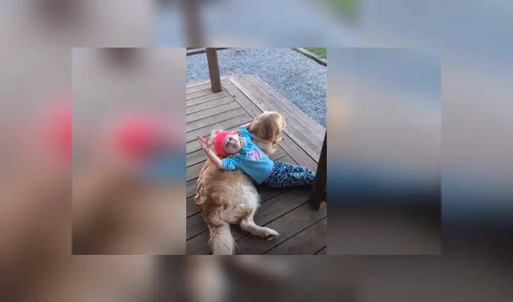 Desliza las imágenes para observar la sentimental escena protagonizada por una niña junto a su perro. Desliza las imágenes para observar la sentimental escena protagonizada por una niña junto a su perro.
