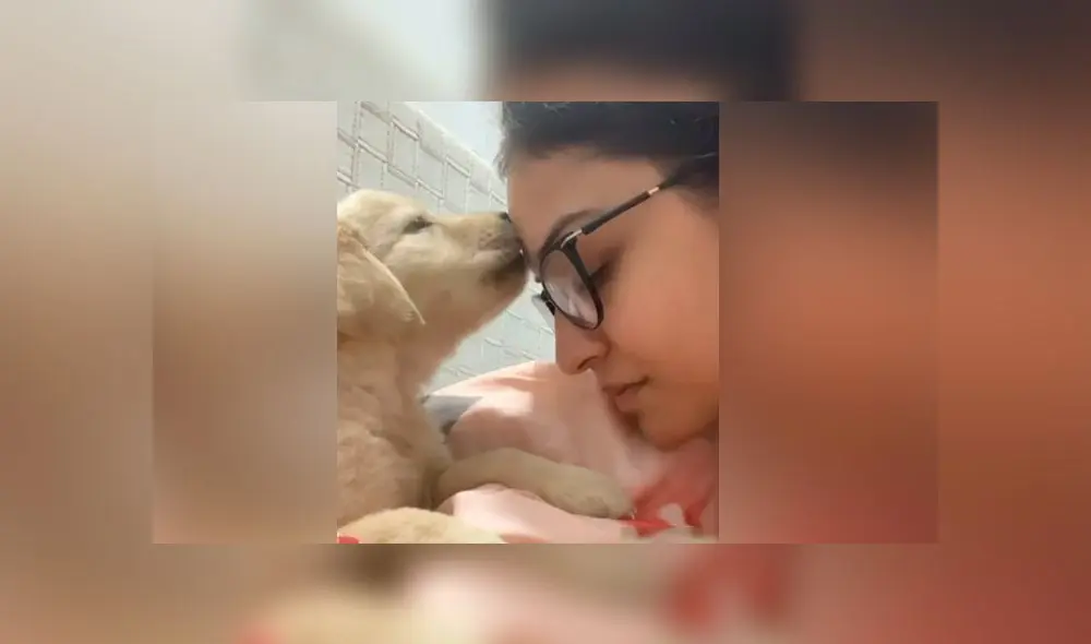 Desliza las imágenes para ver la tierna escena que protagonizó un perro bebé con su dueña. Foto: Caters Clips/Captura Desliza las imágenes para ver la tierna escena que protagonizó un perro bebé con su dueña. Foto: Caters Clips/Captura