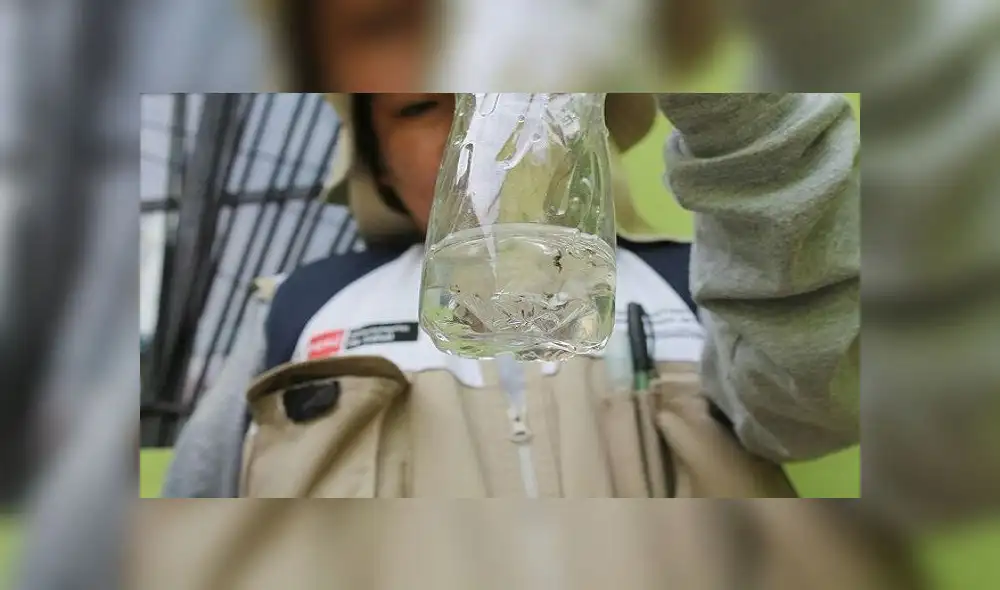 Ministerio de Salud: disminuyen casos de dengue en Piura en primer trimestre del año