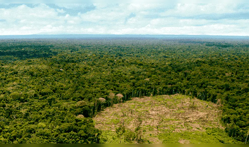 Comunidades indígenas y religiosas se reúnen para combatir la deforestación de la amazonía Comunidades indígenas y religiosas se reúnen para combatir la deforestación de la amazonía