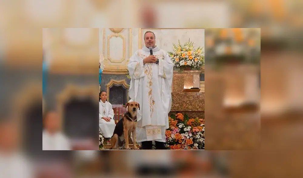 Brasil: Sacerdote realiza misa acompañados de perros para una noble misión [FOTOS]