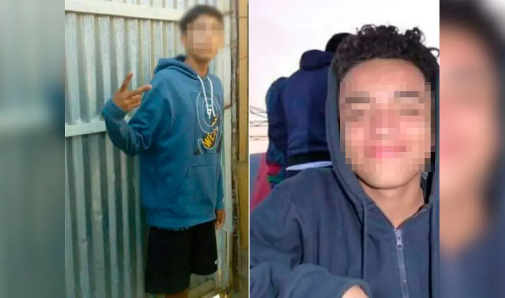 Se encuentran en buen estado de salud. Foto: Sullana Noticias Se encuentran en buen estado de salud. Foto: Sullana Noticias