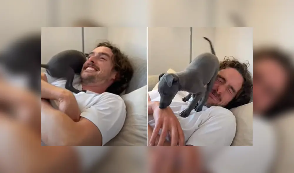 Desliza para ver más detalles sobre esta escena que se ha robado el corazón de miles en YouTube.