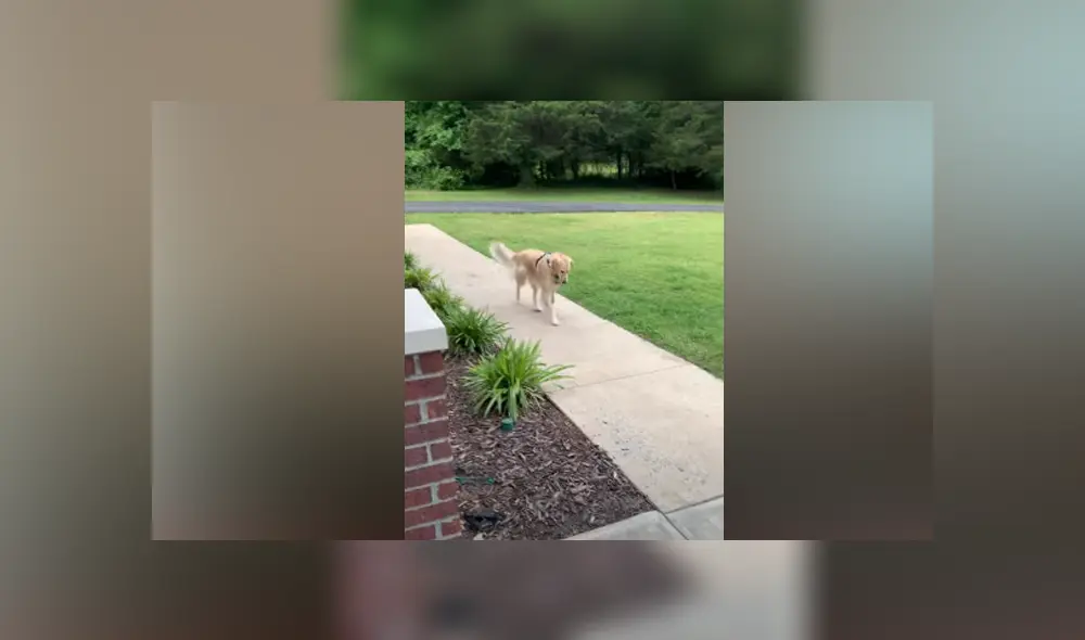 Desliza hacia la izquierda para ver las imágenes del viral de Facebook.