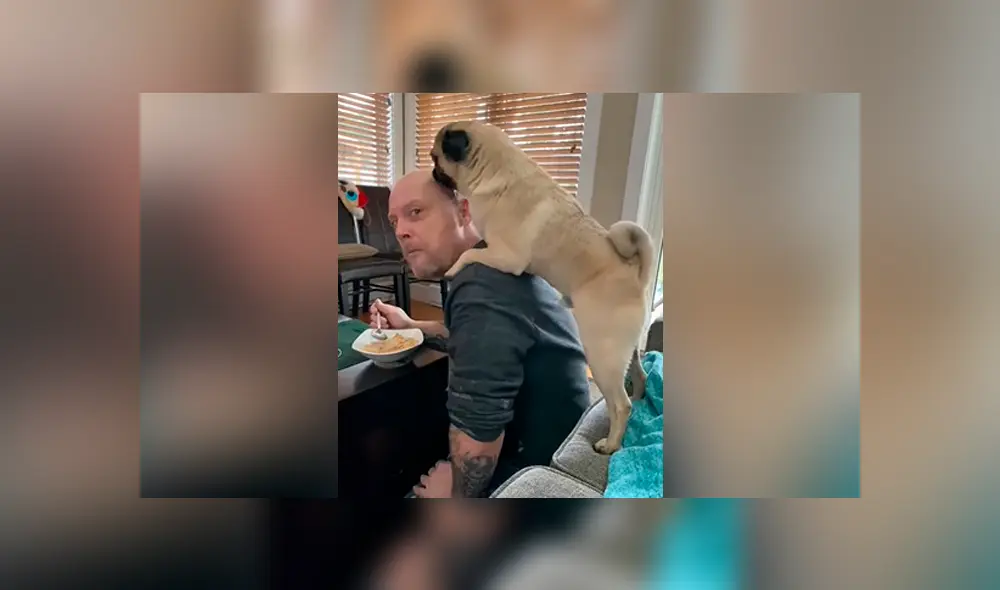 YouTube viral: su padre no quería perros en casa y ella lo descubre en una tierna escena con su mascota