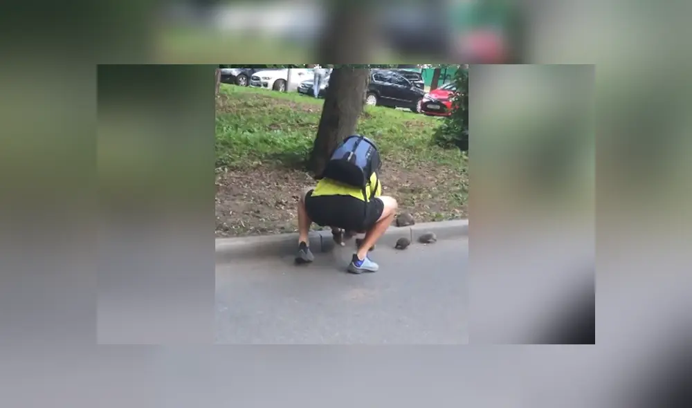 El joven se detuvo en mitad de la calle para salvar a los animales. Foto: YouTube El joven se detuvo en mitad de la calle para salvar a los animales. Foto: YouTube