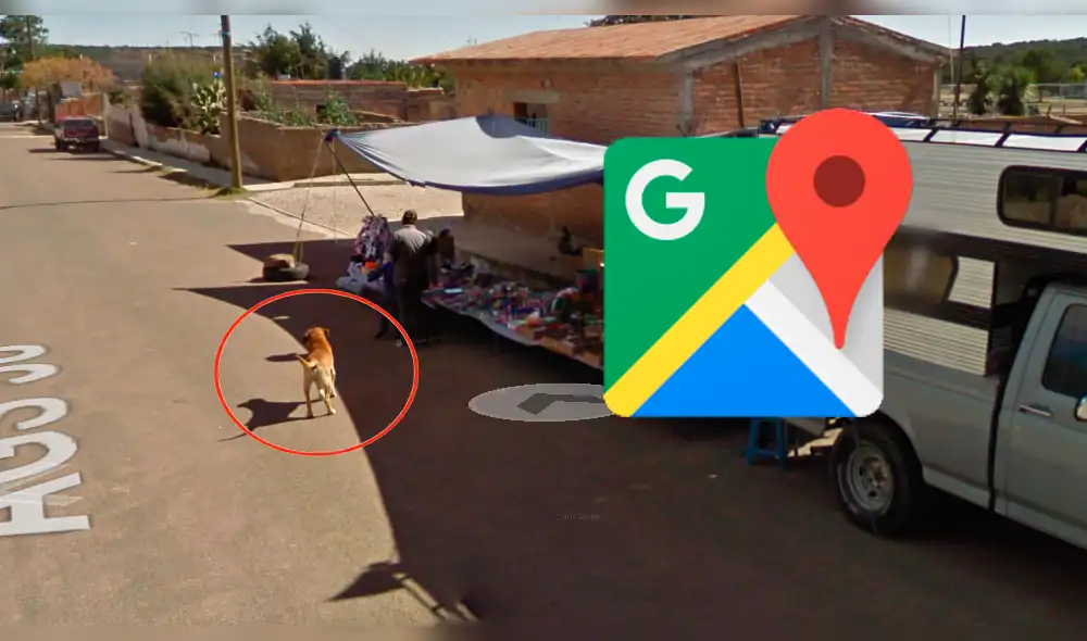 Google Maps: recorre las calles de México y encuentra un aterrador 'perro mutante' [FOTOS]