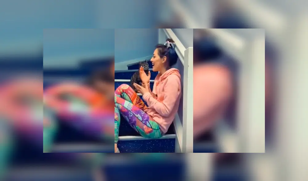 Desliza las imágenes para conocer el comportamiento de un gato para impedir que su dueña siga cantando.