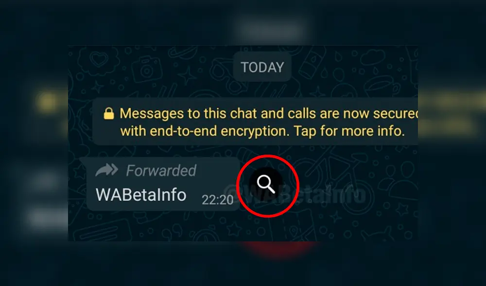 La lupa se activa al detectar mensajes reenviados hasta 5 veces.