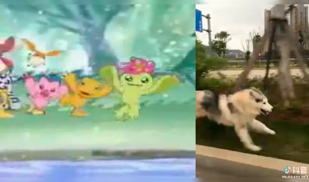 Facebook: hombre se despide de su perro al estilo Digimon y hace llorar a miles [VIDEO]