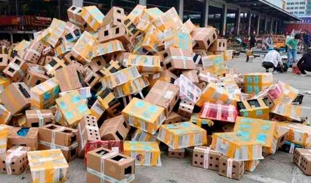 Alrededor de 4.000 animales, principalmente perros, gatos y conejos, fueron encontrados sin vida dentro de cajas abandonadas. Foto: Utopia Animal Rescue.