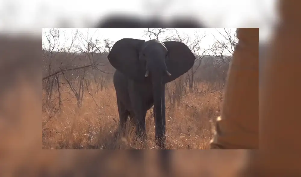 Si quieres ver lo que pasó con los turistas del video viral de YouTube, revisa la galería de fotos deslizando cada imagen hacia la izquierda.