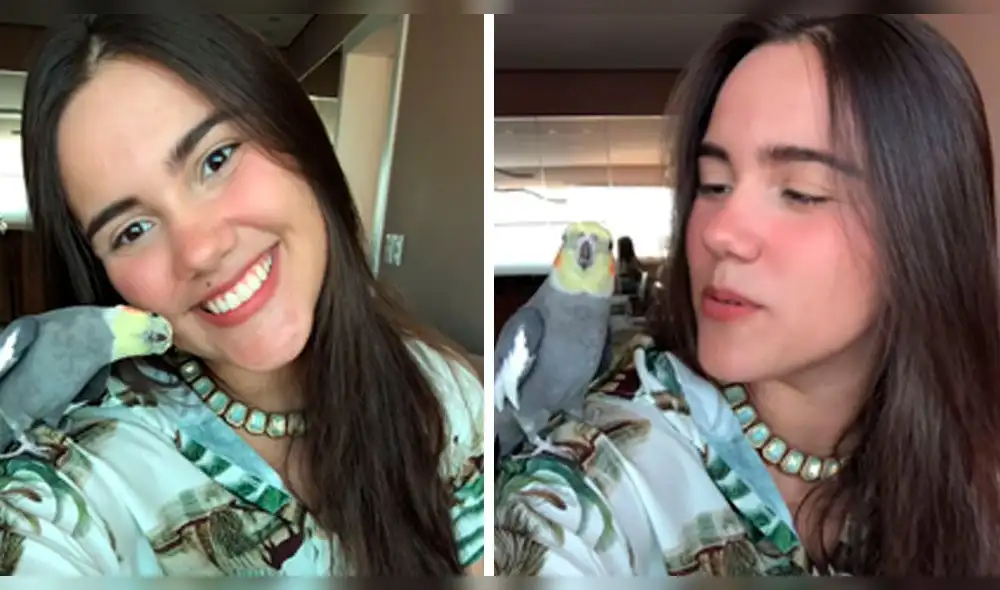 Facebook: bella brasileña se quiso tomar un selfie y su mascota hizo lo impensado