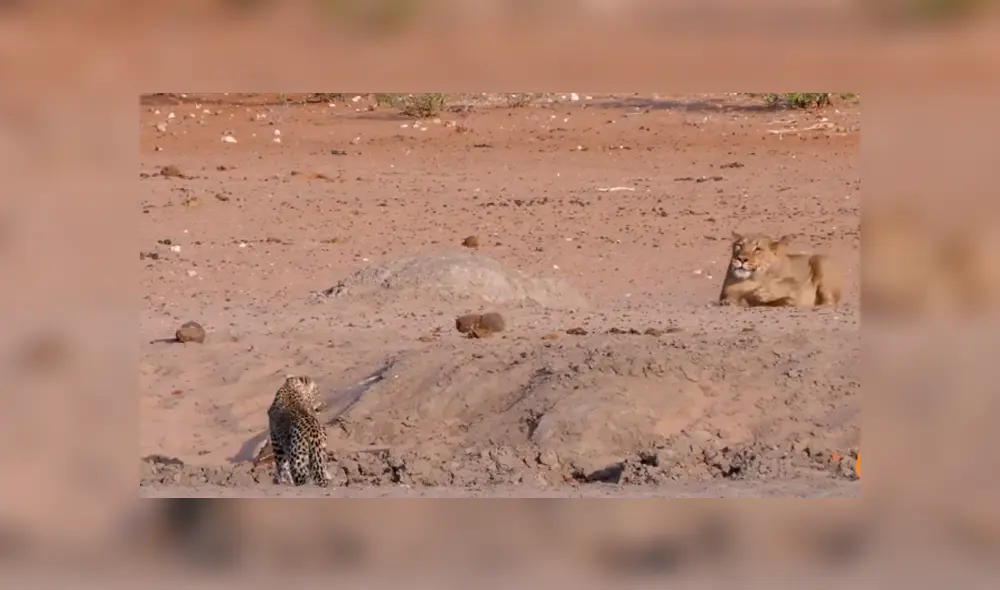 Desliza para ver los momentos más impactantes del video que se hizo viral en YouTube.
