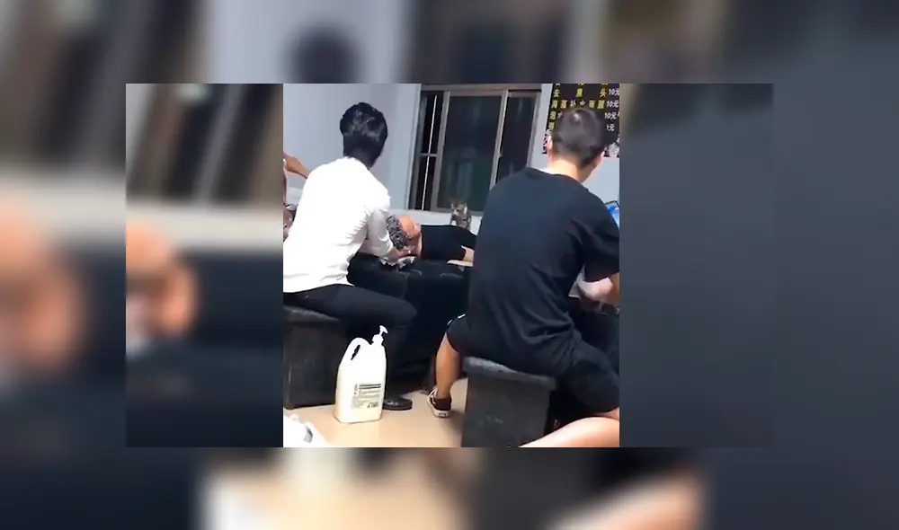 En Facebook, un travieso gato acompañó a su dueño al trabajo y sorprendió al dar cálidos masajes a las personas. En Facebook, un travieso gato acompañó a su dueño al trabajo y sorprendió al dar cálidos masajes a las personas.