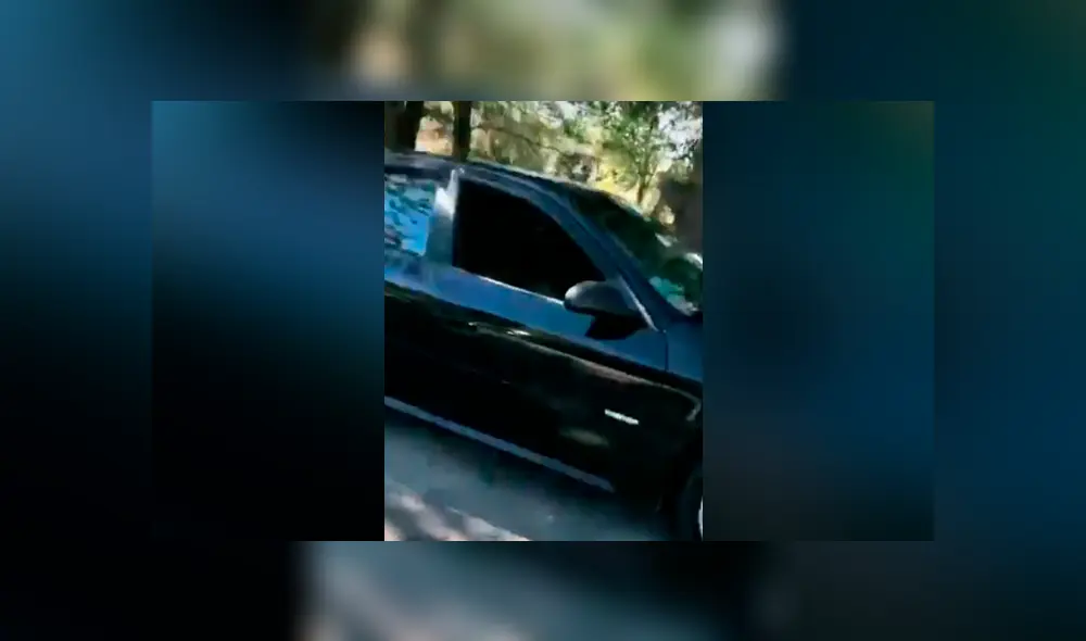 El joven jamás imaginó que en pocos minutos su auto sería invadido por varios de felinos. Foto: captura.