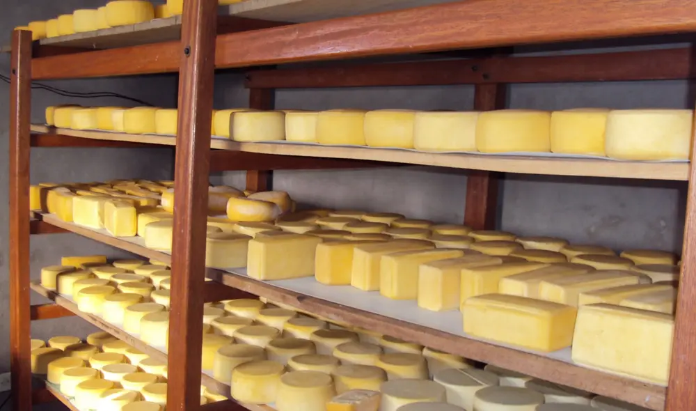 Distrito se implementará con equipos tecnológicos. Foto: Municipalidad de Taraco. Distrito se implementará con equipos tecnológicos. Foto: Municipalidad de Taraco.