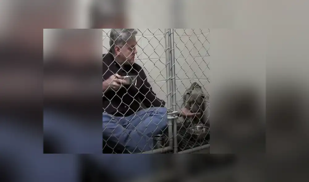 Facebook viral: veterinario aplica ‘truco’ para ganarse confianza de perro callejero y así hacerlo comer Facebook viral: veterinario aplica ‘truco’ para ganarse confianza de perro callejero y así hacerlo comer