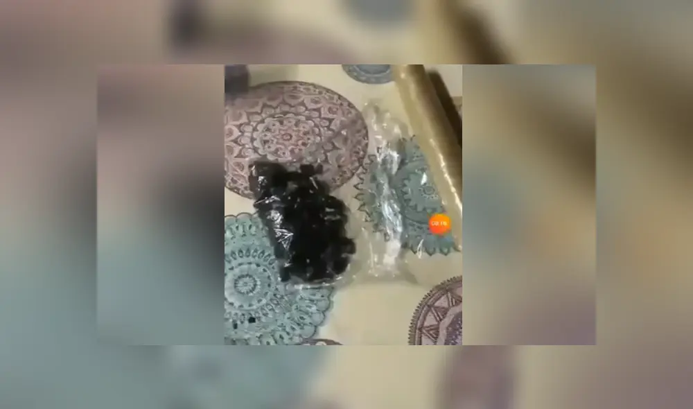 A través de Twitter se hizo viral el terrible 'fail' de una chica al intentar preparar una tarta de Oreo.