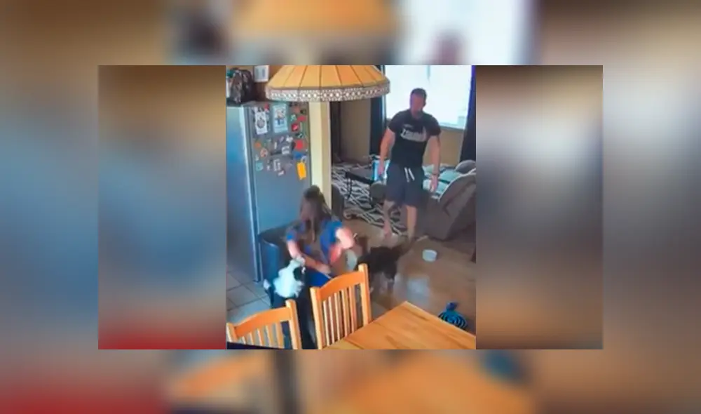 Desliza hacia la izquierda para ver la sorprendente reacción de esta mujer ante la presencia de una araña. (Foto: captura) Desliza hacia la izquierda para ver la sorprendente reacción de esta mujer ante la presencia de una araña. (Foto: captura)