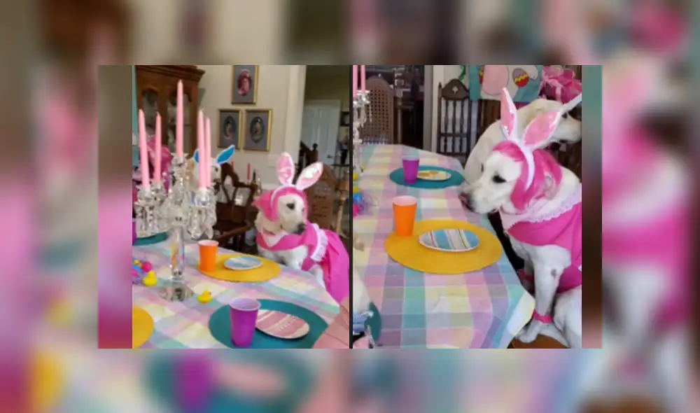 Desliza a la izquierda para ver más imágenes de la increíble celebración que se hizo viral en Facebook.