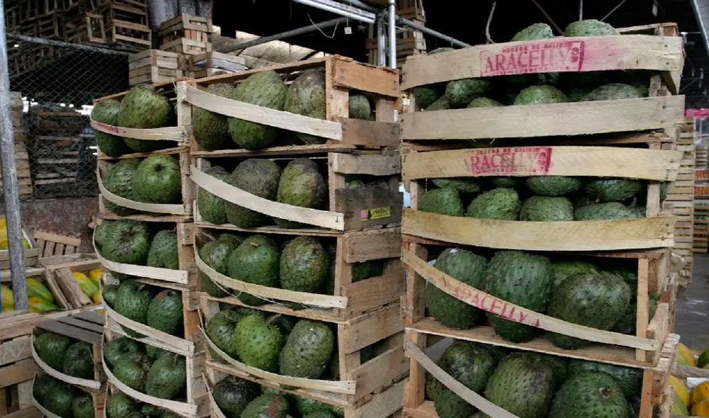 Guanábana Guanábana