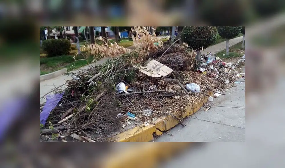 Ciudadanos piden que se recoja basura de las calles de San Luis