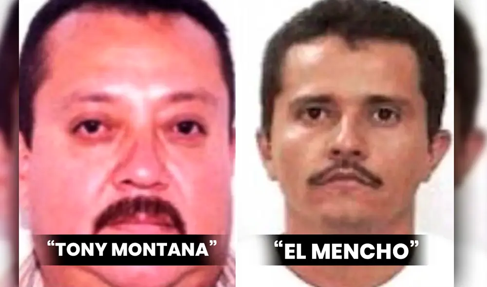 Durante la detención a “Tony Montana”, se decomisaron seis armas cortas, un arma larga, un paquete con posible cocaína, dos vehículos y nueve cargadores. Foto: composición LR / Univisión