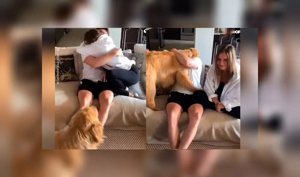 Desliza las imágenes para ver la curiosa reacción que tuvo un perro al ver a su dueño abrazando a su novia. Foto: Woof Woof