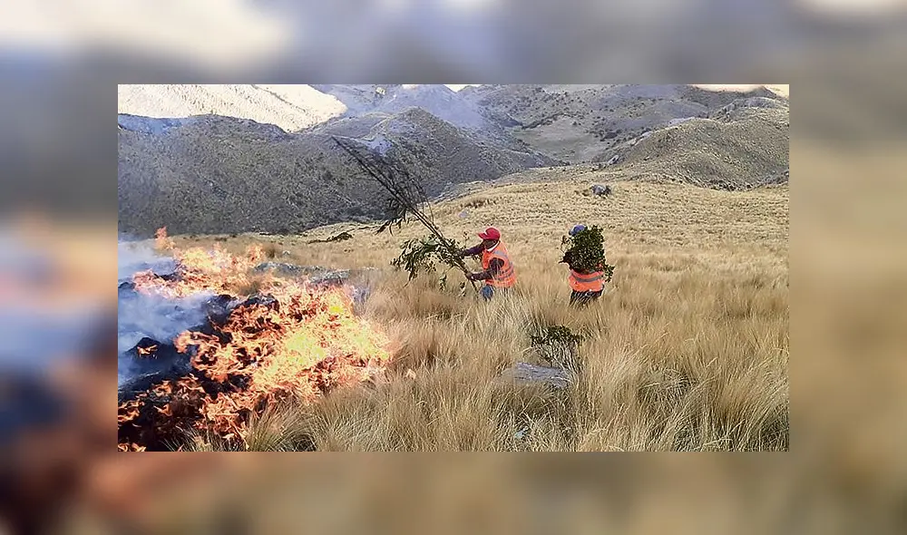 Incendios no cesan en Cusco.