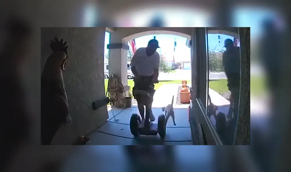 En YouTube, unas cámaras de seguridad grabaron cuando repartidor iba dejar un paquete en una casa y fue sorprendido por un gato que saltó encima de él. En YouTube, unas cámaras de seguridad grabaron cuando repartidor iba dejar un paquete en una casa y fue sorprendido por un gato que saltó encima de él.
