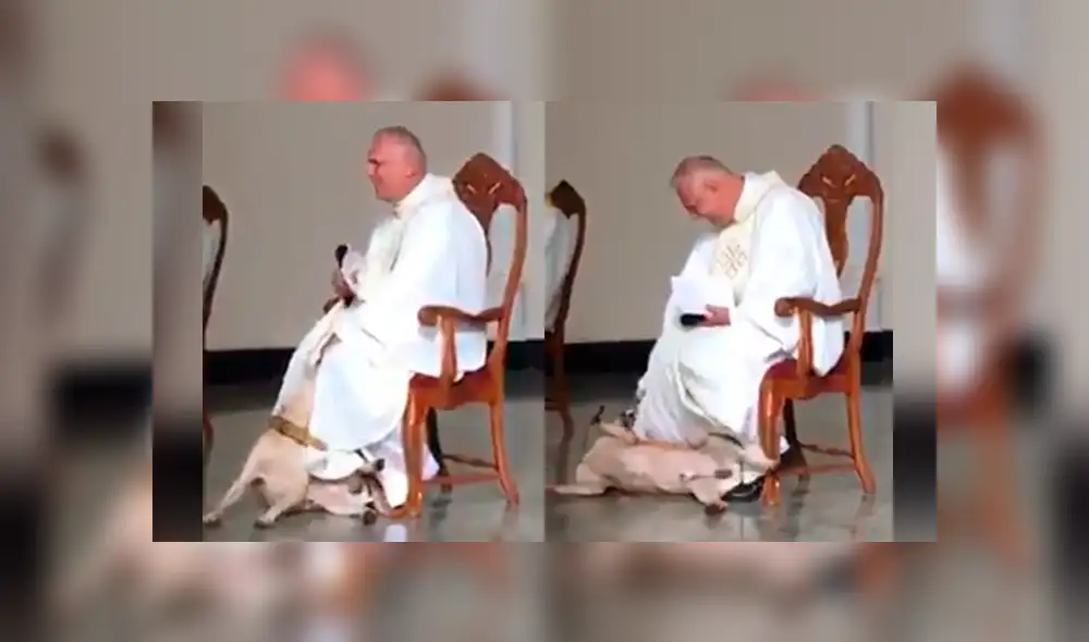 Facebook viral: perro irrumpe a párroco durante misa y la reacción de religioso asombra a todos [VIDEO]