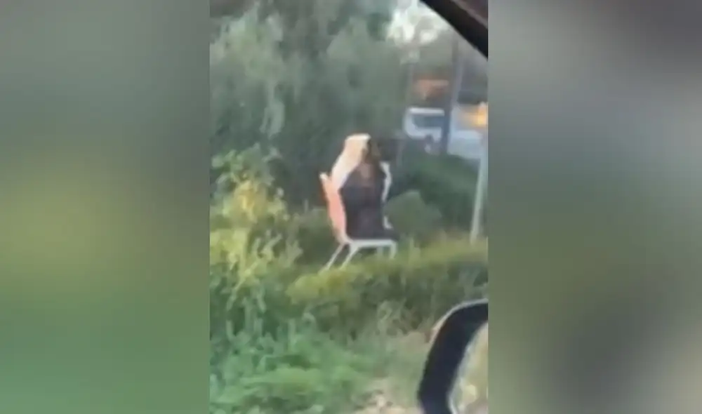 Desliza hacia la izquierda para ver más imágenes de esta singular escena protagonizada por un perro pitbull al lado de un labrador. (Foto: captura / YouTube)