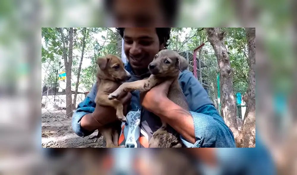 Desliza hacia la izquierda para ver el radical cambio de aspecto de un perro callejero que se volvió viral en Facebook.