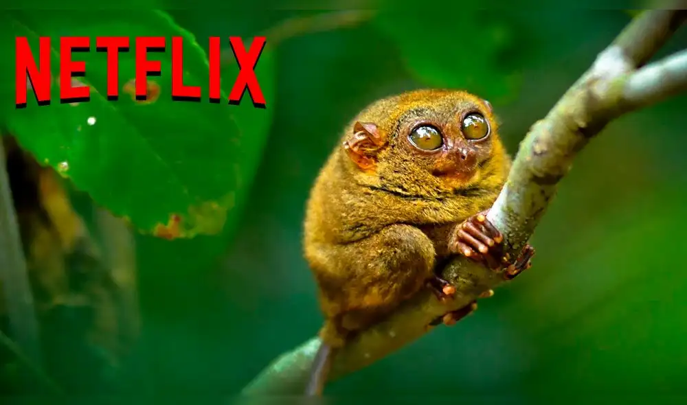 Netflix: 'Nuestro Planeta' el nuevo documental que tardó cuatros años en producirse [VIDEO]