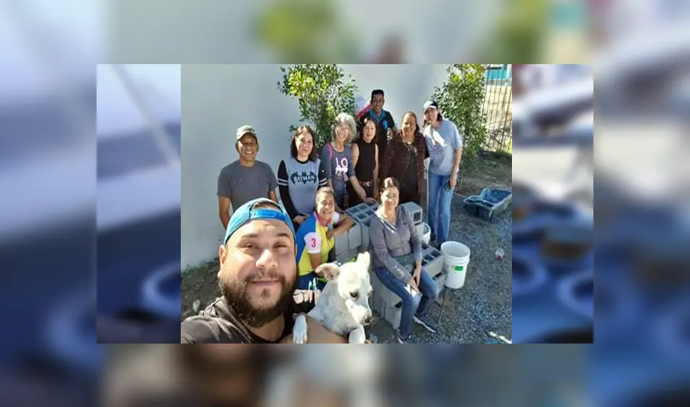 En Facebook, un grupo de voluntarios se organizaron para festejar Navidad junto a perros callejeros. En Facebook, un grupo de voluntarios se organizaron para festejar Navidad junto a perros callejeros.