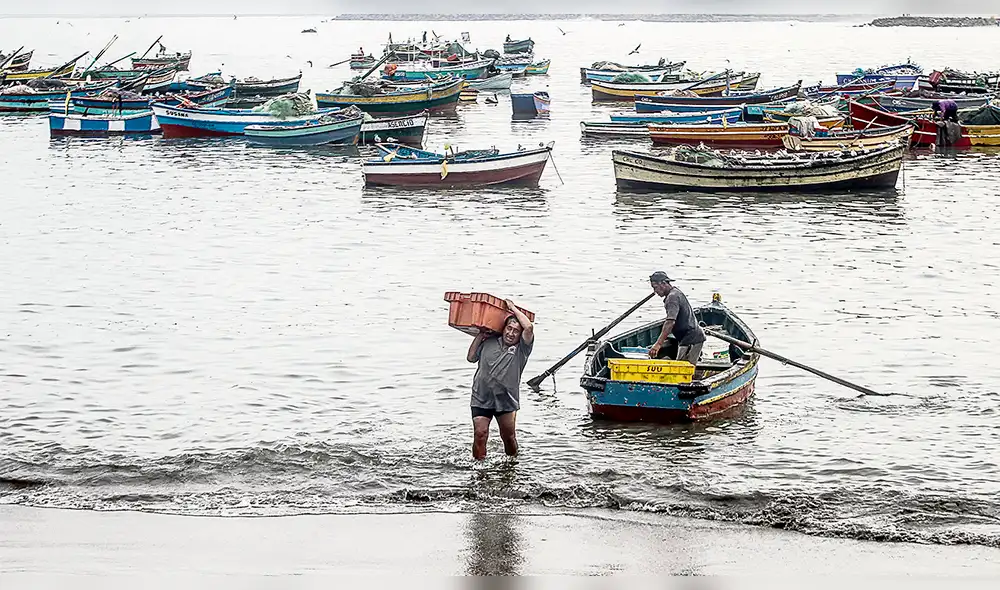 Gobierno lanzará nuevo seguro para pescadores artesanales antes del 28 de julio