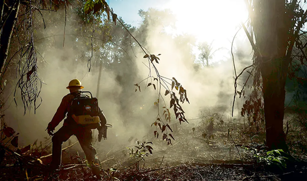 Amazonía: la mafia detrás de la muerte, la deforestación y el fuego Amazonía: la mafia detrás de la muerte, la deforestación y el fuego