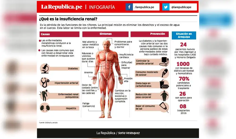 ¿Que es la insuficiencia renal?