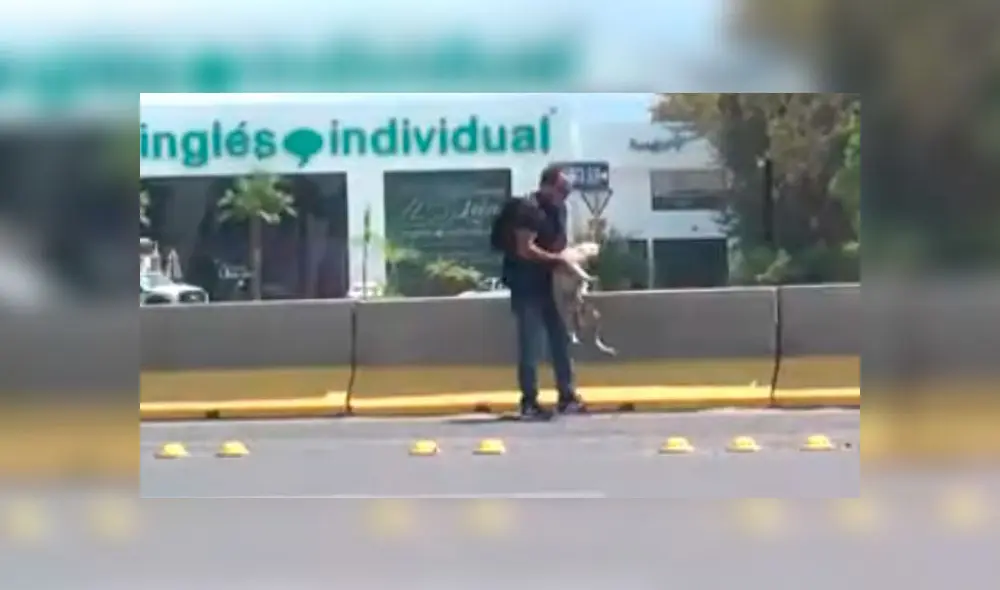 Desliza las imágenes para conocer el desenlace de esta tierna historia que es viral en Facebook Foto: Rafael Figueroa Desliza las imágenes para conocer el desenlace de esta tierna historia que es viral en Facebook Foto: Rafael Figueroa