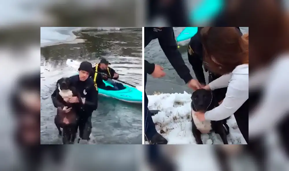 Desliza las imágenes para observar el rescate que realizó un policía tras ingresar a aguas congeladas para salvar a un perro.