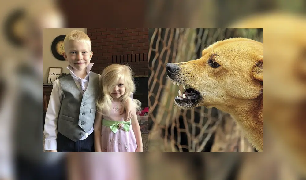 Luego de interponerse al ataque del animal, el niño agarró la mano de su hermana y corrió con ella para ponerla a salvo. Foto: redes sociales.