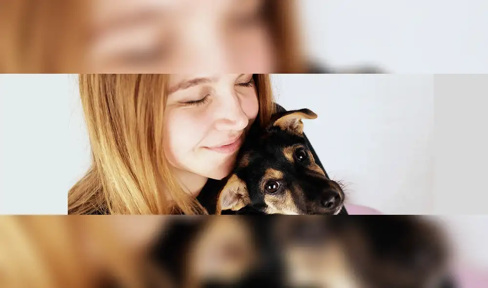 Cuarentena por Coronavirus: Consejos para la limpieza y cuidado de la mascota en casa