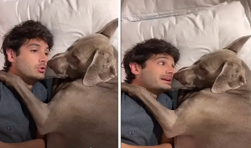 Desliza hacia la izquierda para ver las imágenes del video viral. Foto: captura de YouTube.