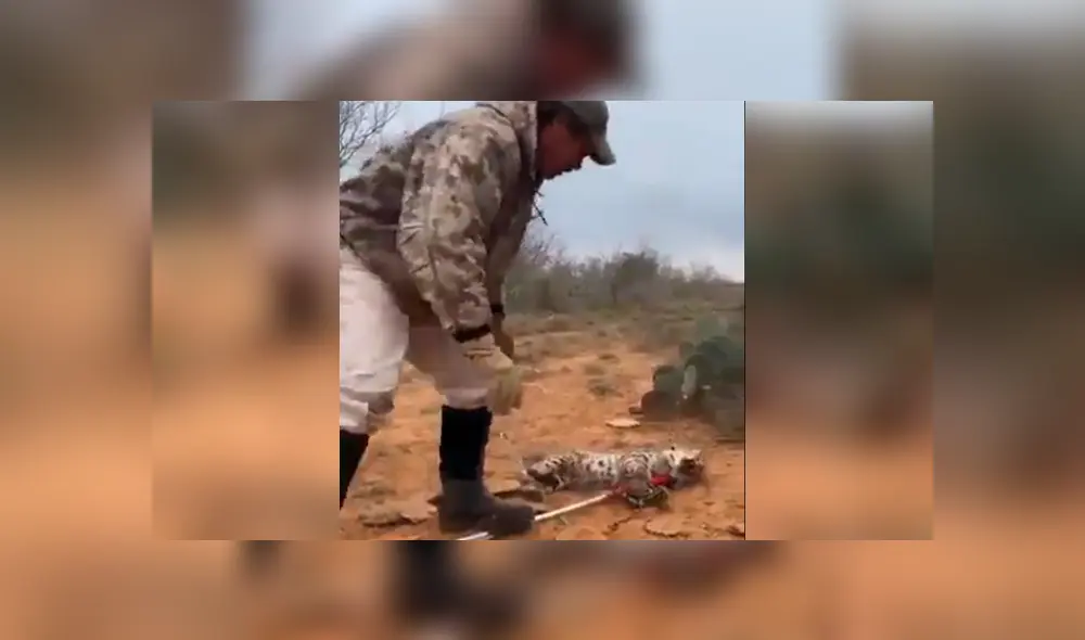 Para ver lo que ocurrió con el osado turista revisa las capturas del video viral de Facebook, deslizando cada imagen hacia la izquierda.