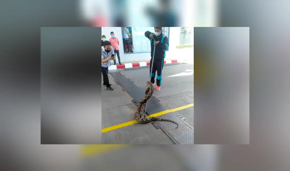 Desliza hacia la izquierda para ver las imágenes del viral de Facebook.