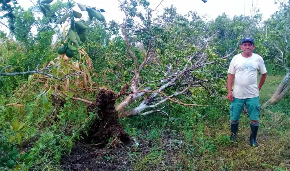 El fenómeno causó daños también la parte urbana del distrito, con cuantiosas pérdidas materiales El fenómeno causó daños también la parte urbana del distrito, con cuantiosas pérdidas materiales