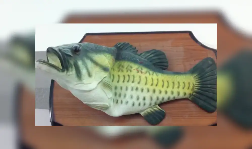 YouTube: ¿Pez puede a hablar y bailar? Conoce la verdad sobre esta criatura